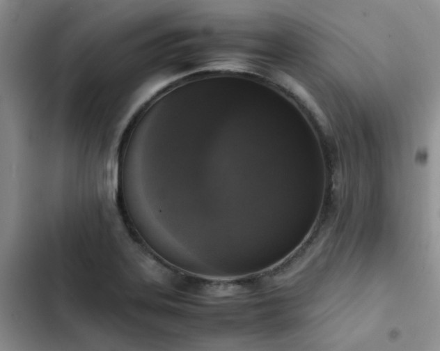 X0000102861323200808181432