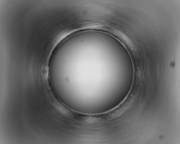 X0000102861324200808181432