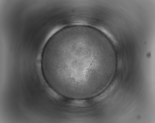 X0000102861325200808181432