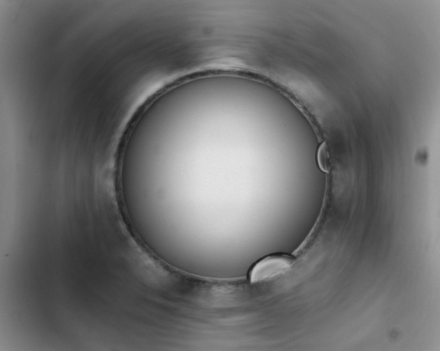 X0000102861326200808181432