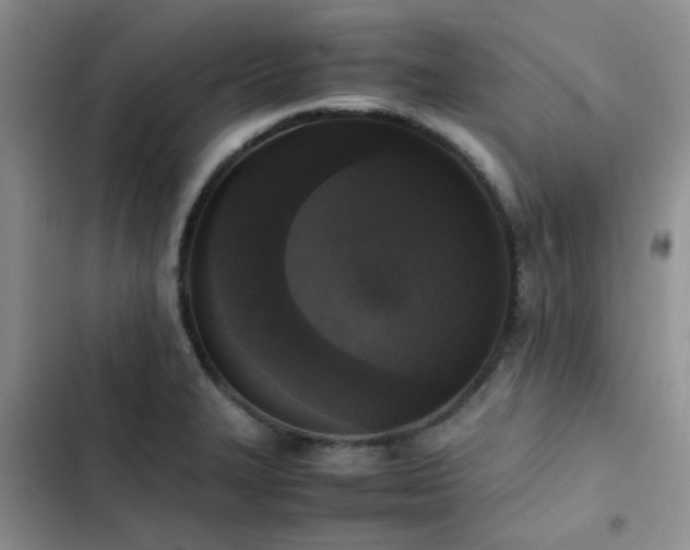 X0000102861327200808181432