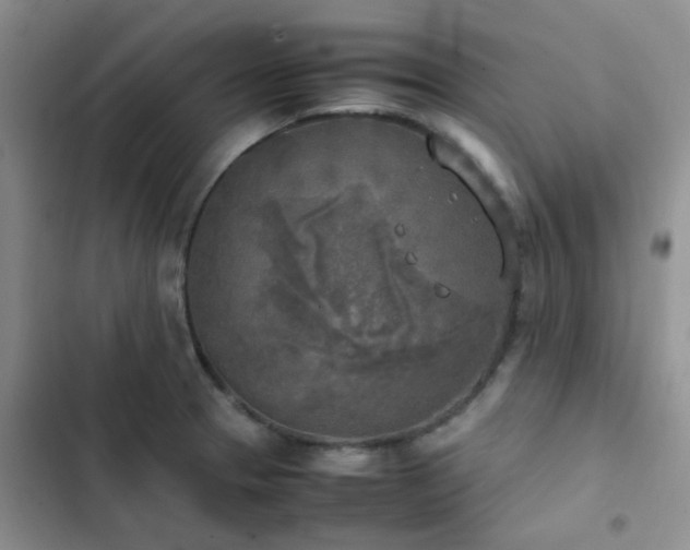 X0000102861329200808181432