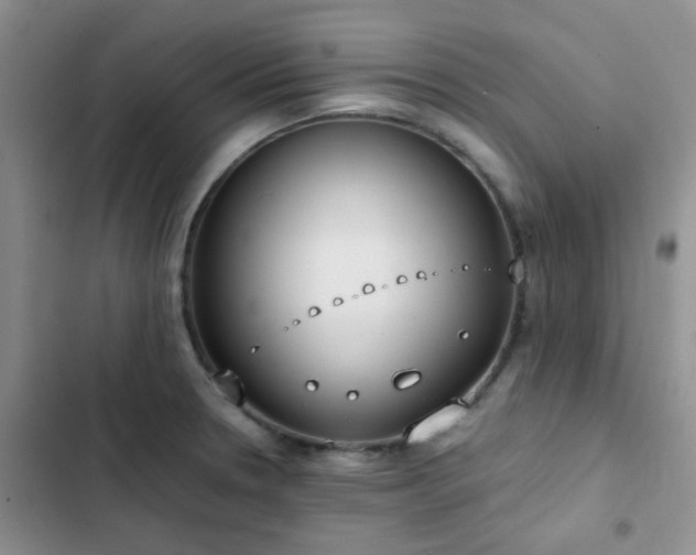 X0000102861330200808181432