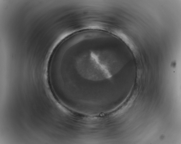 X0000102861331200808181432