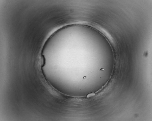 X0000102861332200808181432