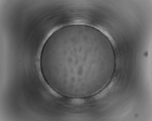 X0000102861333200808181432