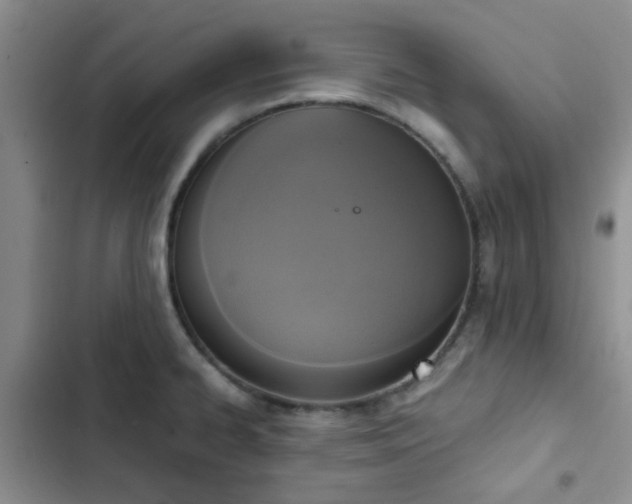 X0000102861334200808181432