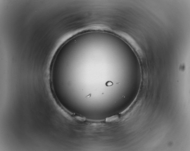 X0000102861335200808181432