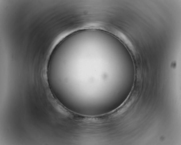 X0000102861336200808181432