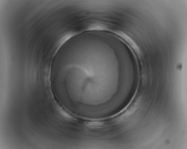 X0000102861337200808181432