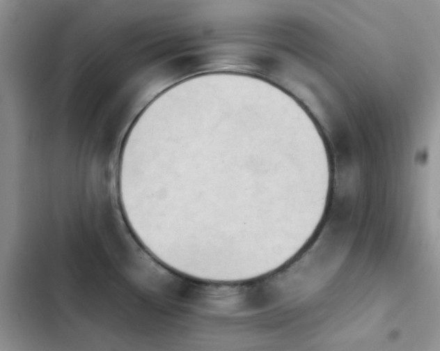 X0000102861338200808181432