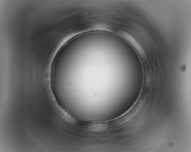 X0000102861339200808181432