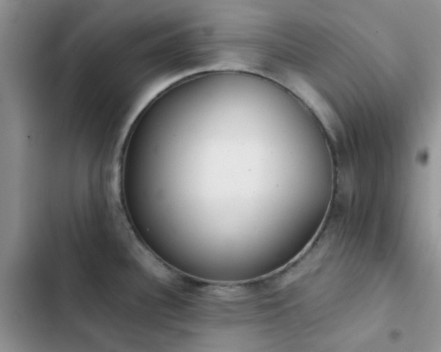 X0000102861340200808181432