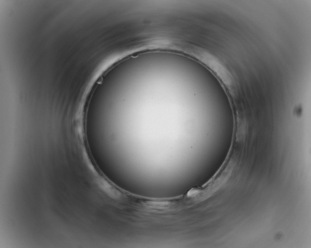 X0000102861342200808181432