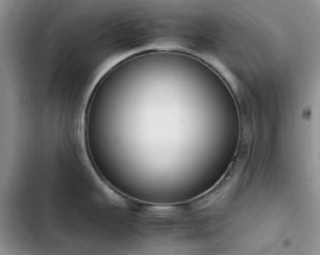 X0000102861343200808181432