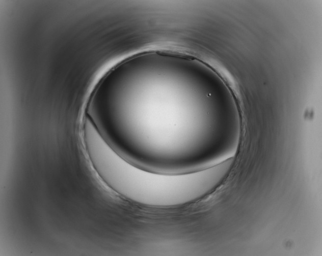 X0000102861344200808181432