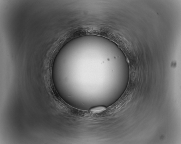 X0000102861345200808181431