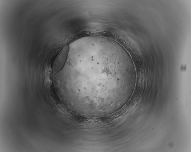 X0000102861346200808181431