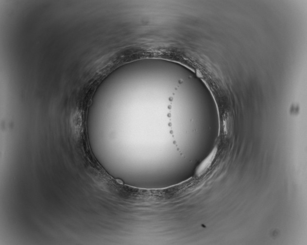 X0000102861347200808181431