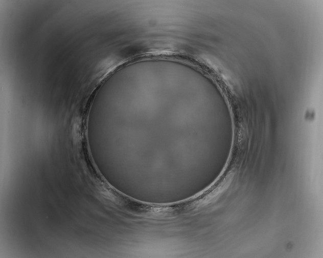 X0000102861353200808181431