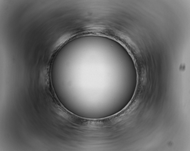 X0000102861354200808181431