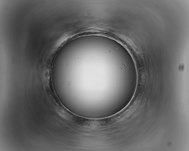 X0000102861355200808181431