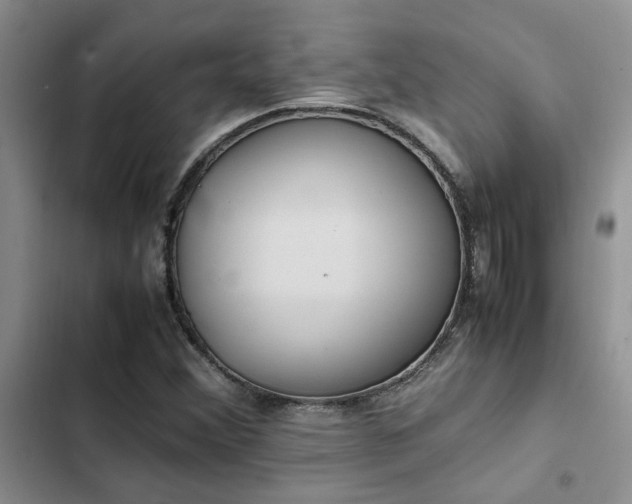 X0000102861356200808181431