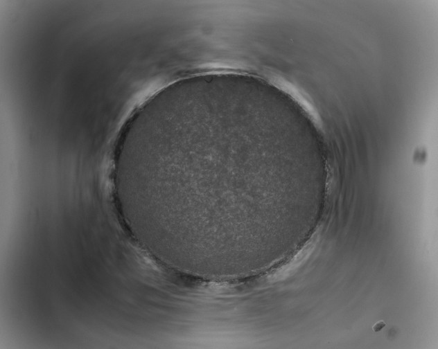 X0000102861357200808181431