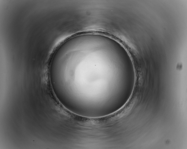 X0000102861358200808181431