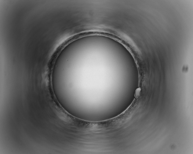 X0000102861360200808181431