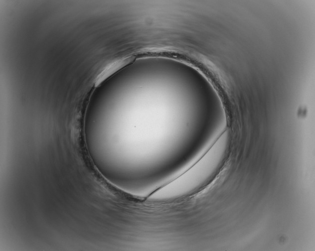 X0000102861361200808181431