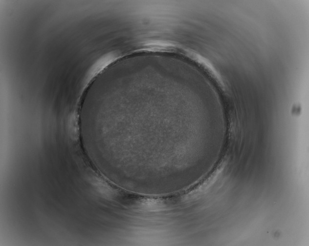 X0000102861362200808181431