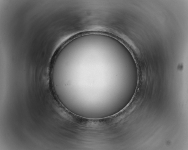 X0000102861364200808181431