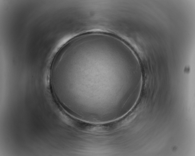 X0000102861367200808181431