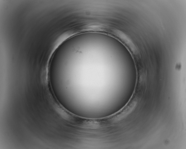 X0000102861370200808181431