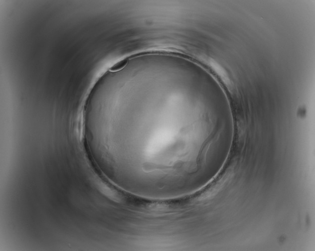 X0000102861371200808181431