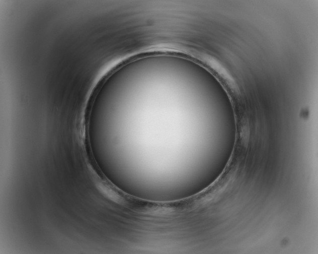 X0000102861372200808181431