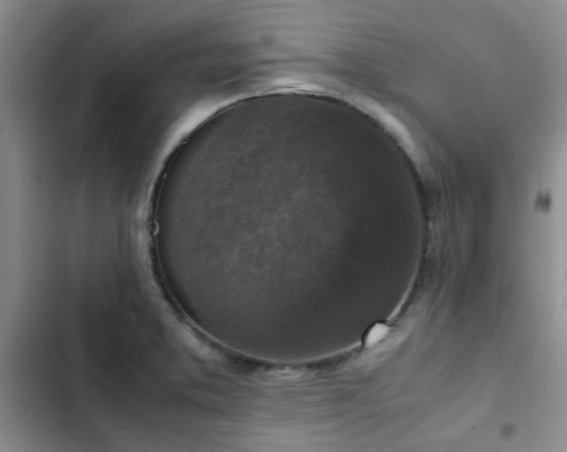 X0000102861373200808181431