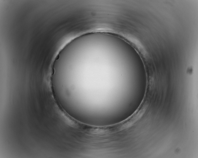 X0000102861374200808181431