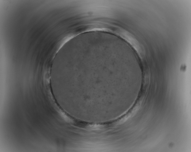 X0000102861377200808181431