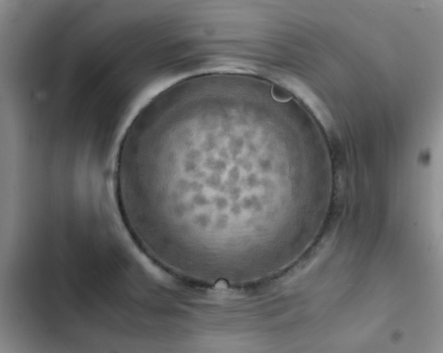 X0000102861379200808181431