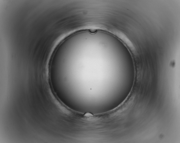 X0000102861380200808181431