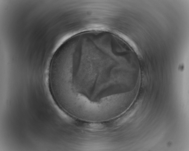 X0000102861383200808181431