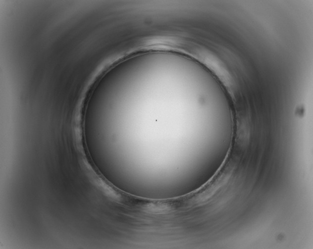 X0000102861384200808181431