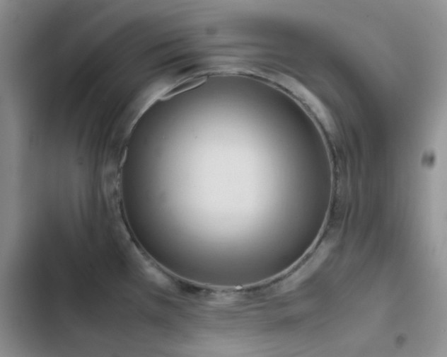 X0000102861385200808181431