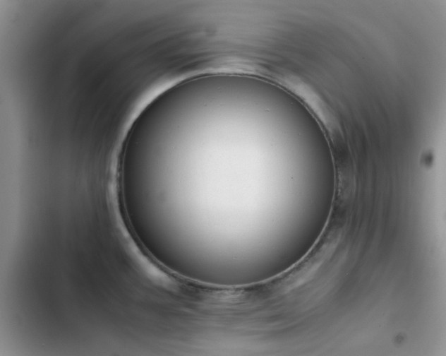 X0000102861387200808181431