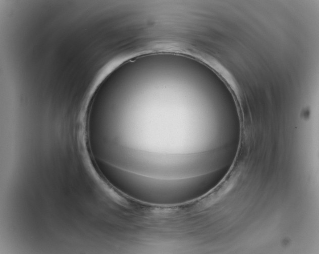 X0000102861389200808181431