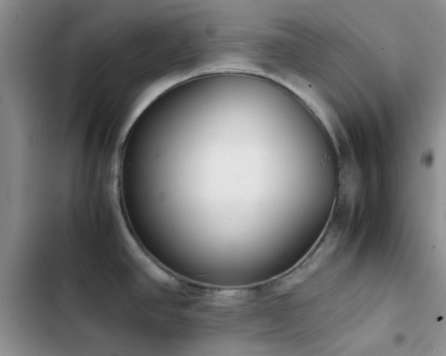 X0000102861390200808181431