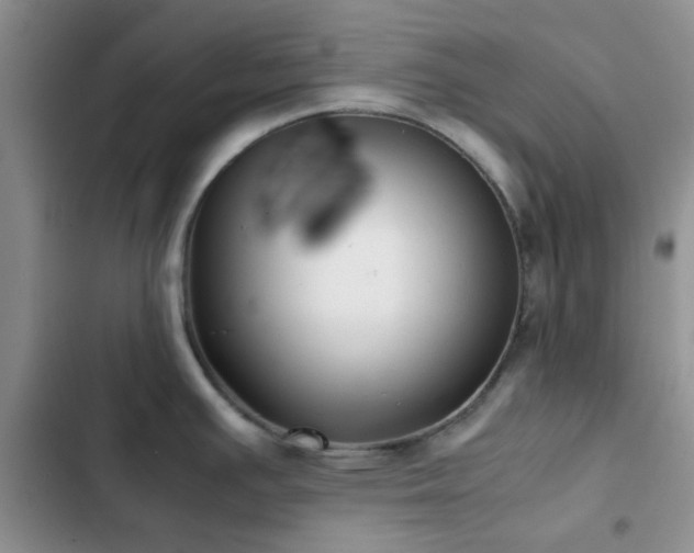 X0000102861391200808181431