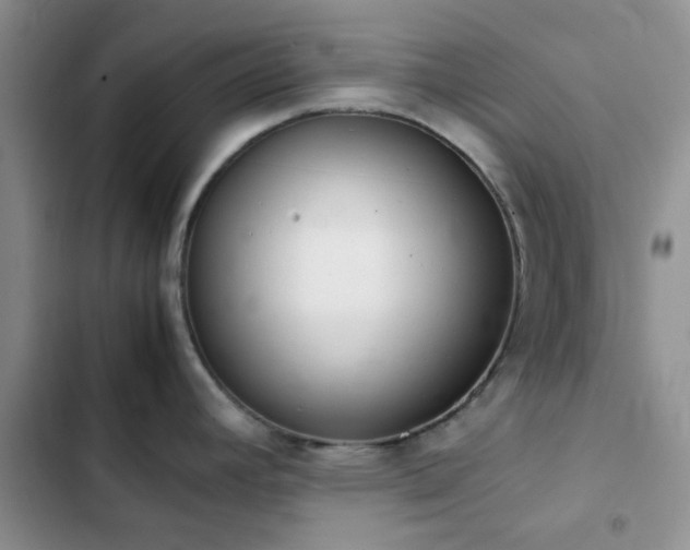 X0000102861392200808181431